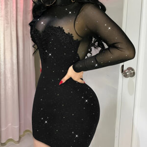 Glitter Long Sleeve Mock Neck Sheer Mesh Patch Bodycon Dress Night Out Party Mini Dress