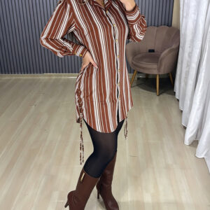Women's Striped Shirt Dress Button Down Long Sleeve Shirred Waist Casual Dress