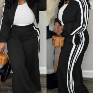 2 Pieces Outfit Stand Collar Zip Up Stretchy Hem Crop Coat and Elastic Waist Wide Leg Pants Set Casual Contrast Side Striped Set